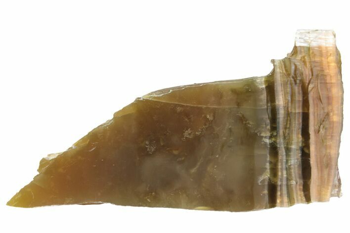 Chatoyant, Polished Pietersite Slab - Arizona #227846